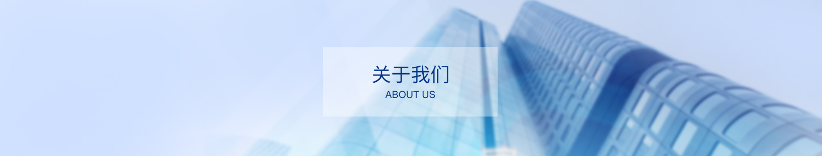 公司优势